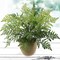 Durable 28" All-Weather Leather Fern Bush - Versatile Faux Greenery for Indoor & Outdoor Decor, Landscaping, and Events
